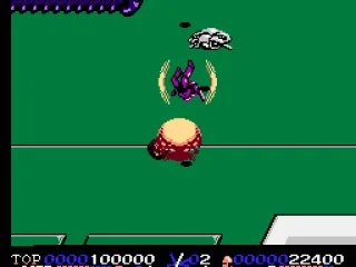 Jumping, flipping, and bombing, all at once