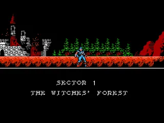 About to start the first section.