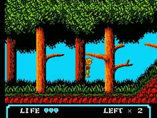 Hanging on a tree limb