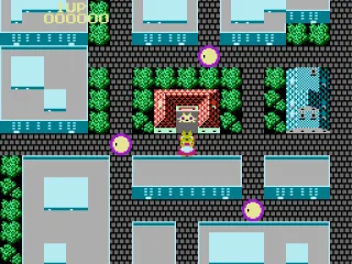 The mother cat starts the search