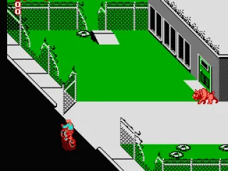 The dog doesn't seem happy to see me