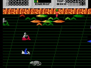 Bones of a long dead creature