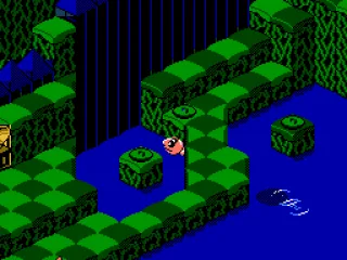 Stay in the water too long and the shark will come to get you