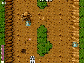 Shoot the head-shaped statues to make them release health pods