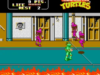 Raphael against Foot Clan soldiers. You have to beat hundreds and hundreds of Foot Clan soldiers.