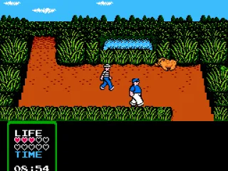 A wild boar charges forward