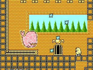 The whale's the boss in Auckland