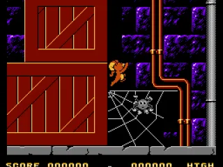 The spider web will slow Jerry down