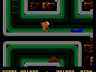 Through the plumbing, dodging water and insects