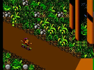 Skateboarding downhill