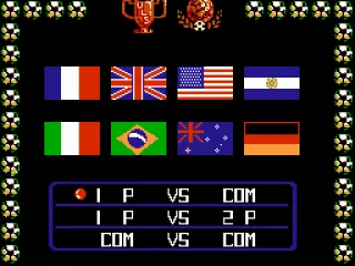 Selecting the championship and number of players.