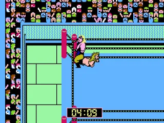 Performing a submission special move.