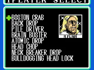 Pick your special moves.  Each one is assigned to a direction on the D-pad