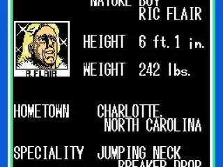 Some of the wrestlers: Ric Flair