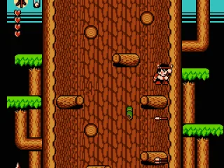 Climbing a large hollow tree in the sacred woods