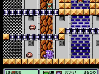 Transforming into the Cannon Widget