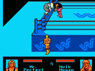 Made the tag to switch wrestlers