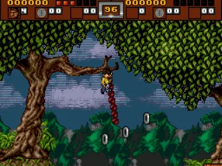 Hang on branches and ropes.