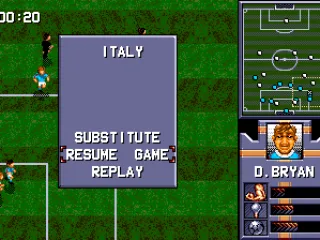 Pause screen options