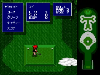 Options menu while golfing