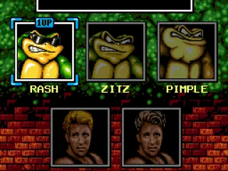 Choosing your character