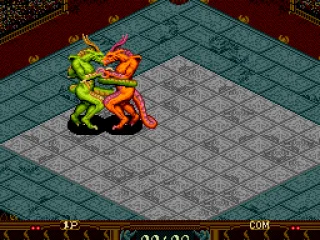 First match of the tournament, close combat