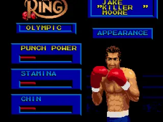 Create-A-Boxer; modifying general attributes