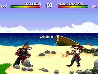 Fighting on the beach