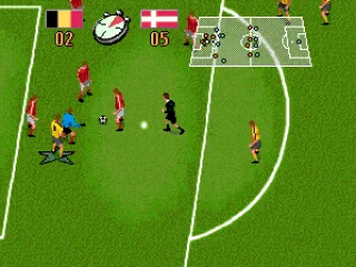 The referee rushes towards a Danish player.