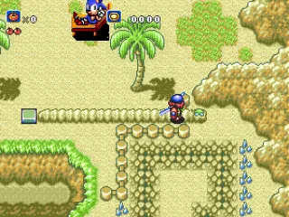 Here we are at Anemone Beach. And... Sonic?