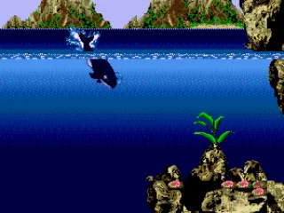 Diving down with Tara.