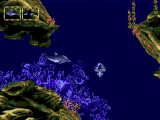 Exploring the underwater world, looking for my friends.