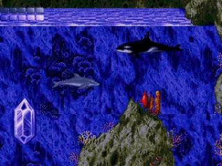 Hope the orca will know something.