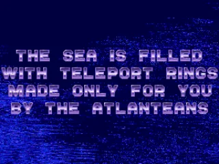 Talking to a friendly dolphin