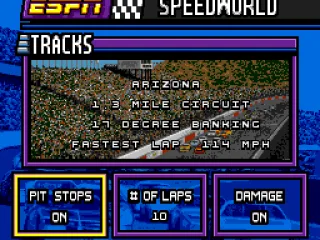 Choose whether to have pit stops and damage and also decide on the number of laps.