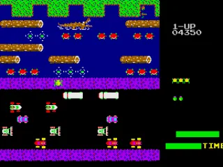 Watch out for those diving turtles!