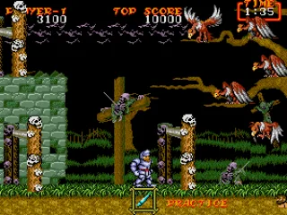 birdies everywhere!!