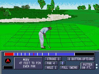 Putting on the green