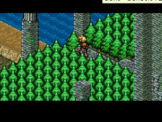 Through the trees to the bridge