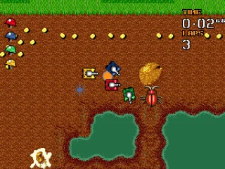 Tanks battling in the garden.