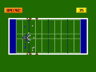 View of the field from a blimp