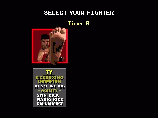 Select one of the four fighters