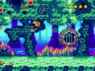 I look funny today... and what's in that cage?