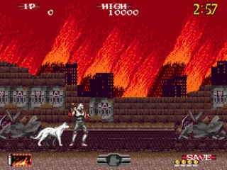 One Ninja and his dog