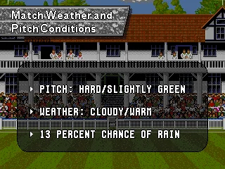 Match weather and pitch conditions