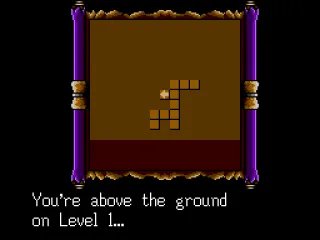 You get a view of the dungeon map when using the Wisdom Seed item. Charted area only.