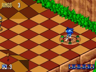 The Sonic faces in the lower right corner will change to birds as long as you are collecting them. Five birds is what you need at the current level