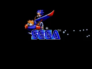 Sonic and Tails fly by