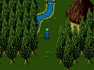 The rural Elf Village