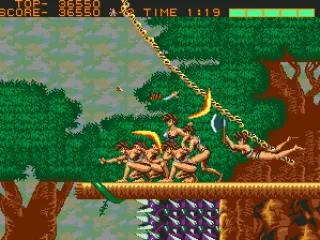 Quite a pack of amazons.